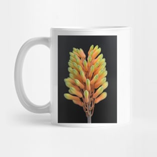 Aloe Vera Mug